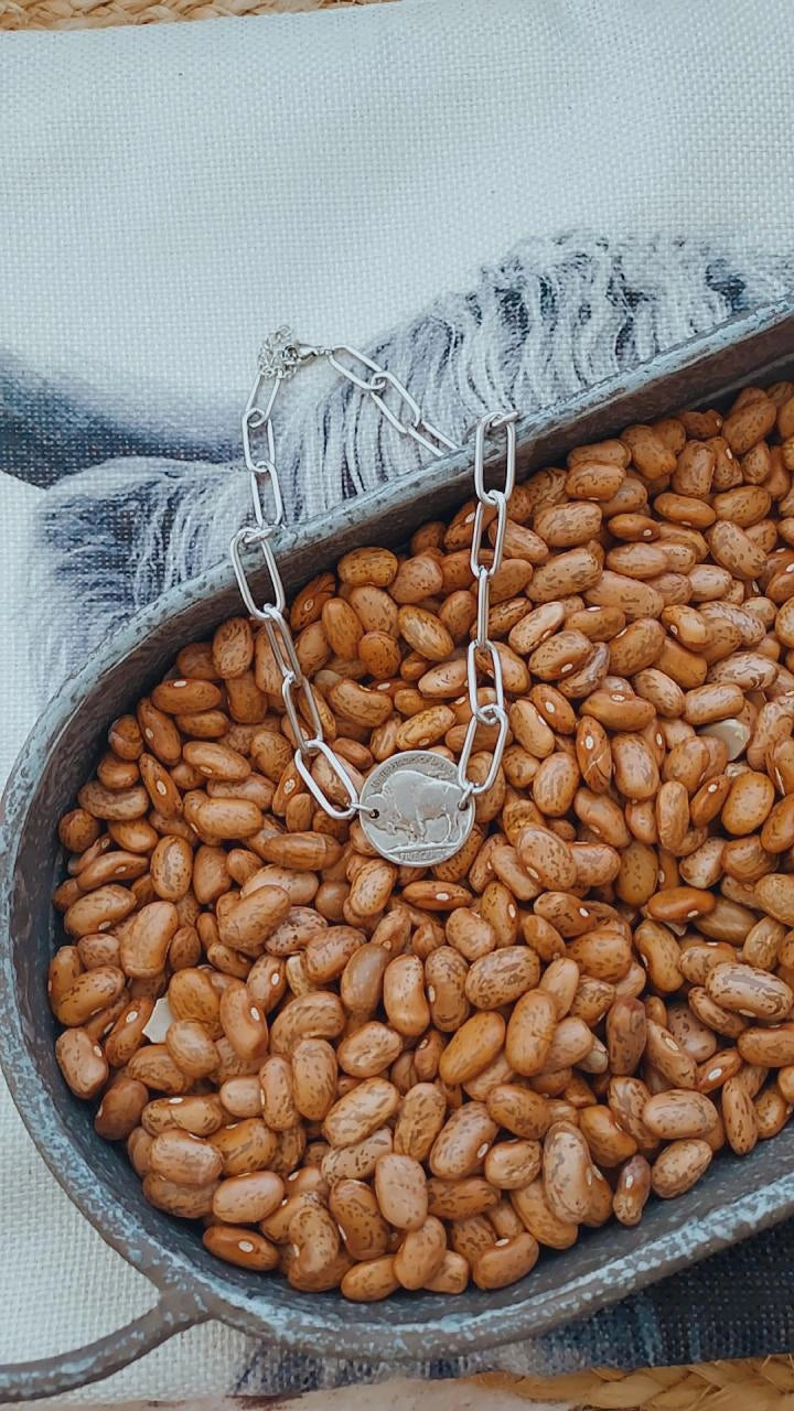Buffalo coin choker