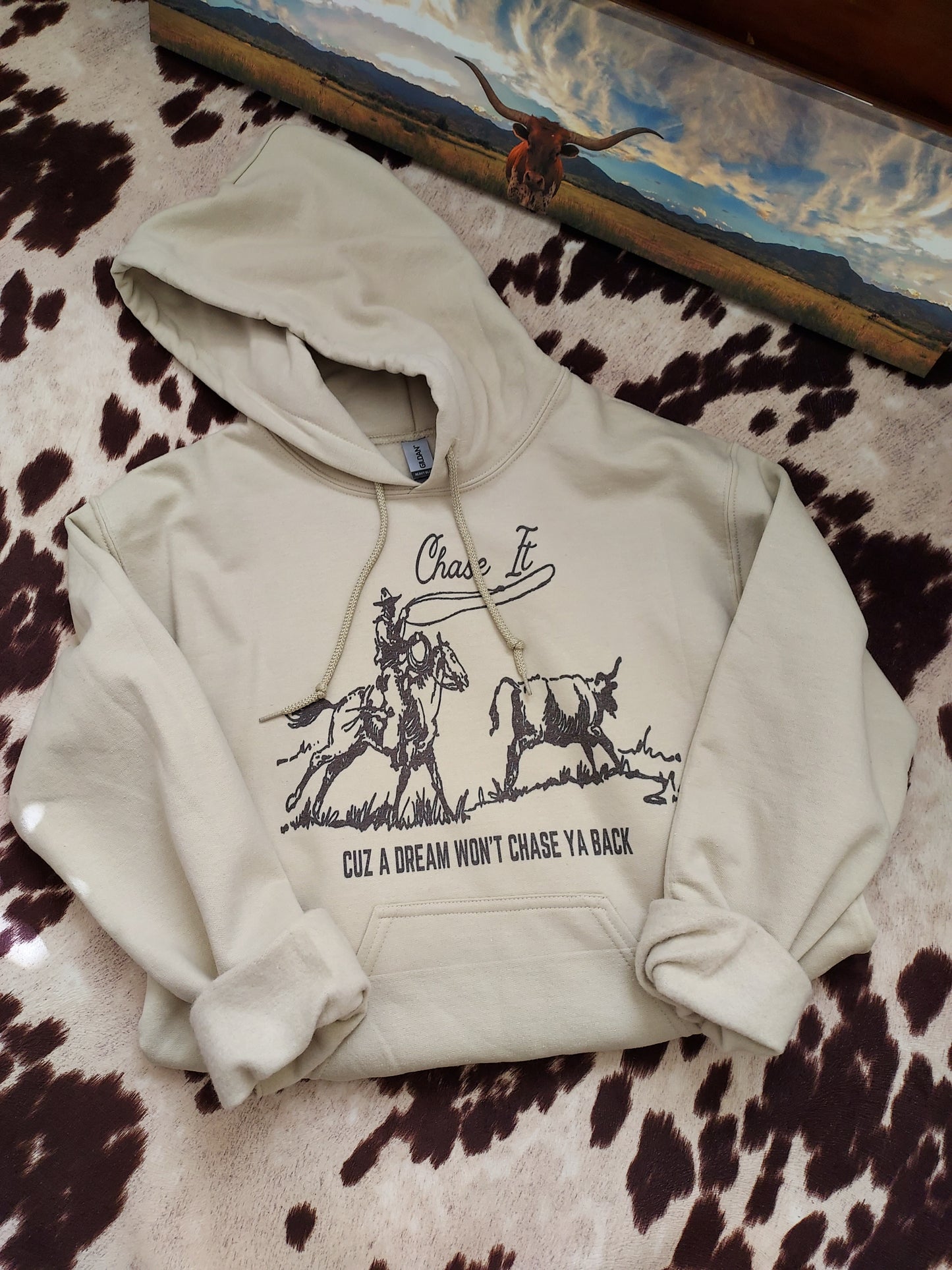 If you got a dream, Chase it hoodie