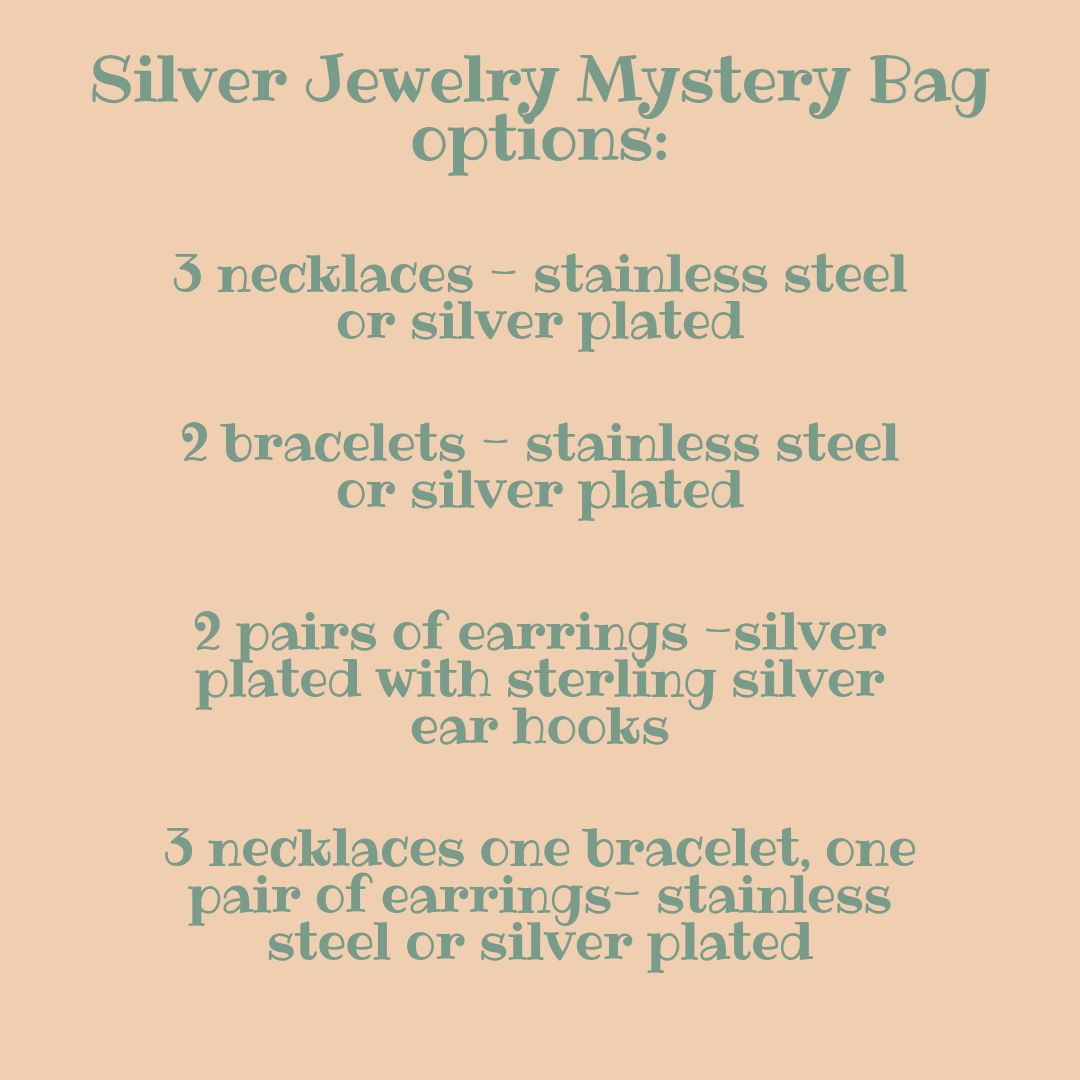 Silver Jewelry Mystery Bag