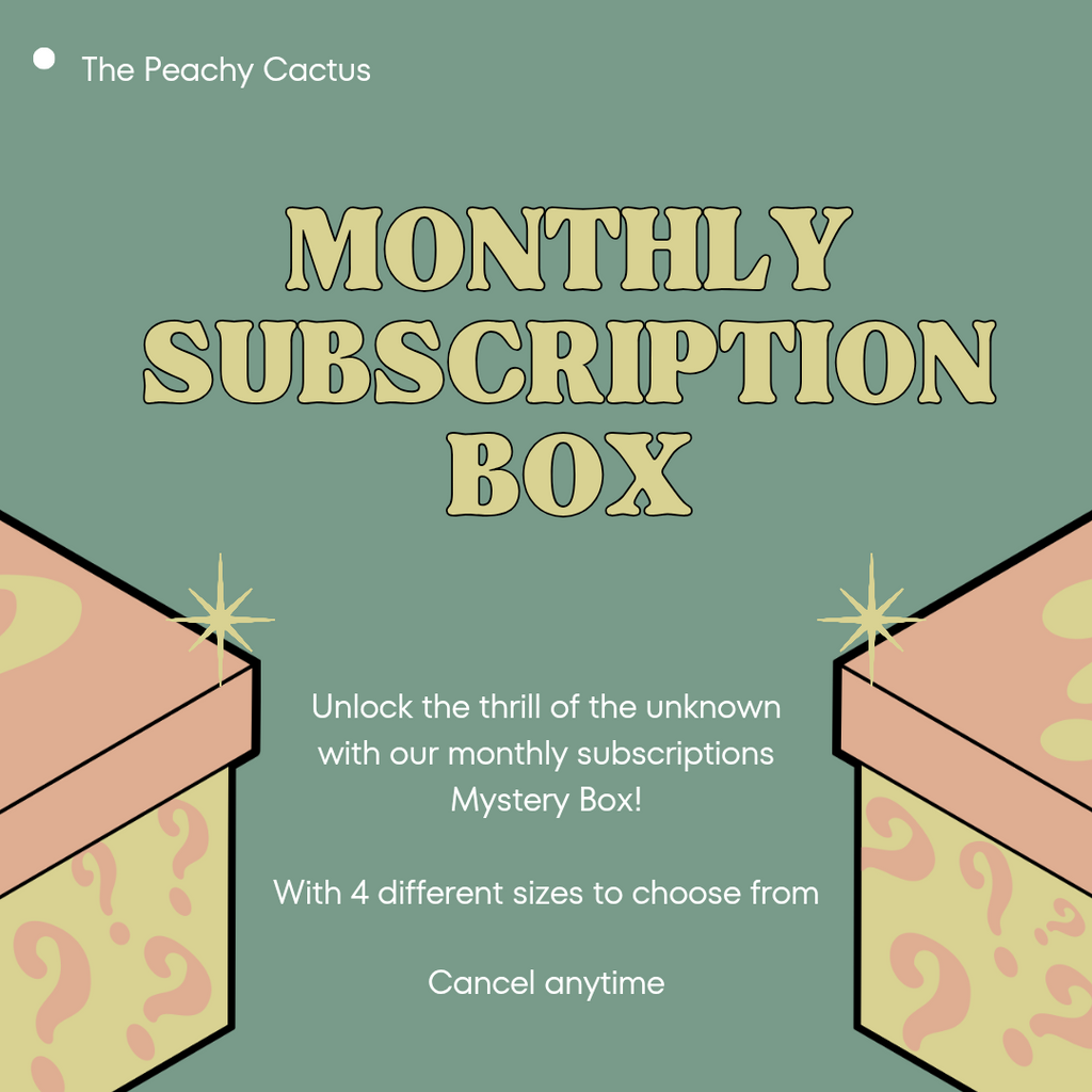 Monthly Subscription box