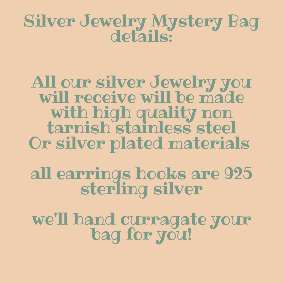 Silver Jewelry Mystery Bag